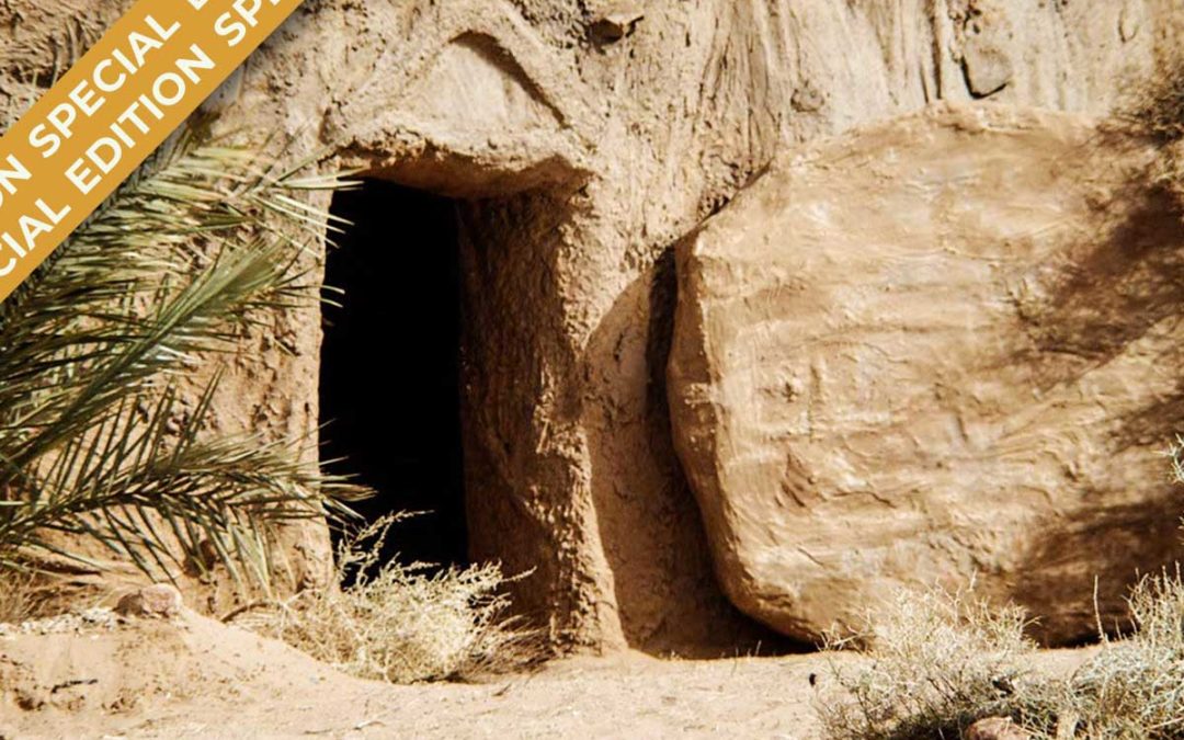 ¿Realmente está vivo?