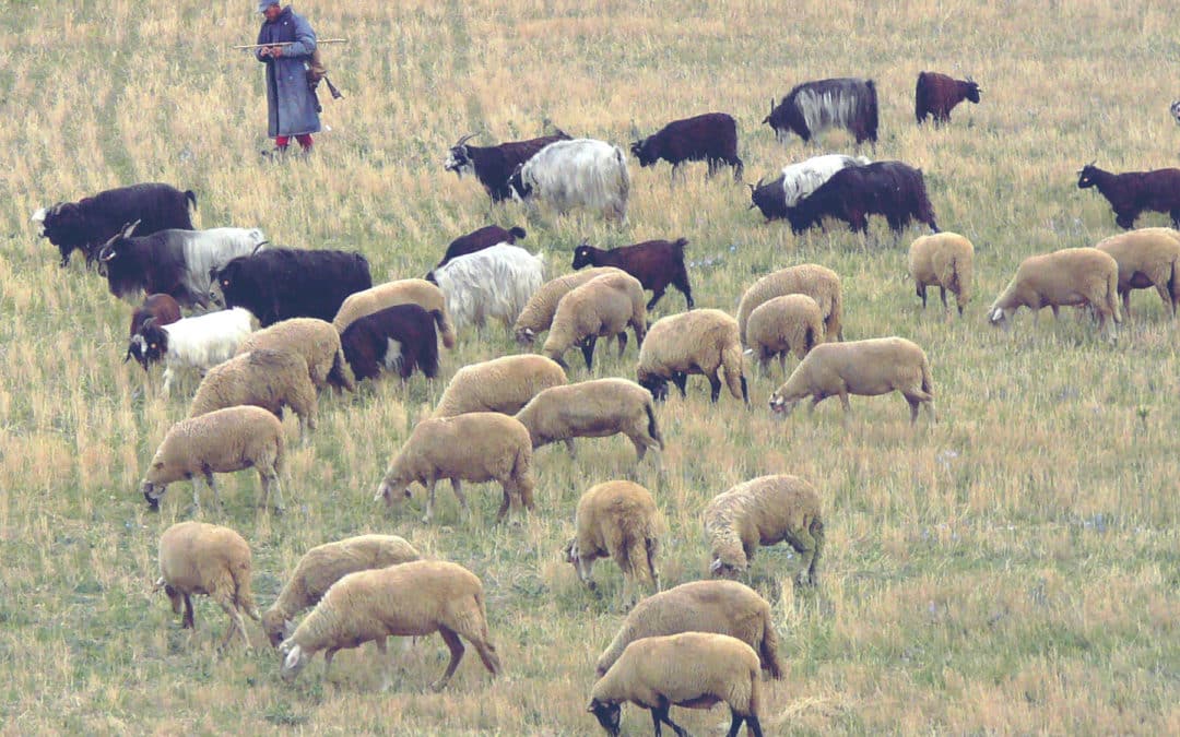 ¿Qué buscaban los llamados “magos”?