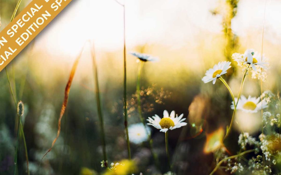 ¿Qué es la ascensión?