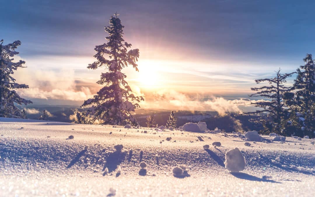 ¿Quién es el Mesías?