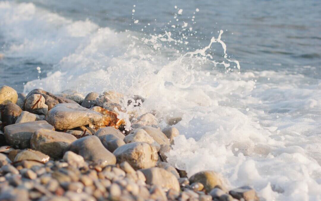 Unumstössliche Treue