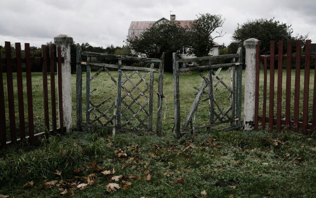 Das lebensverändernde Tor