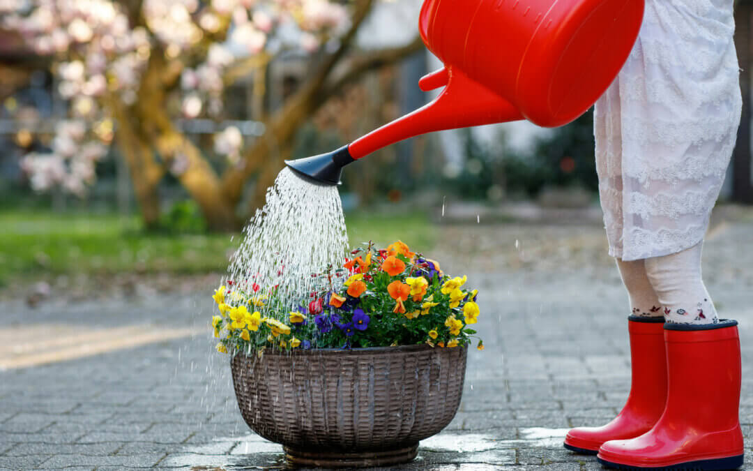 Was, wenn du Gott nicht verstehen musst?