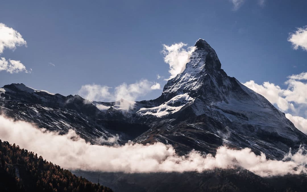 No necesitamos ayuda