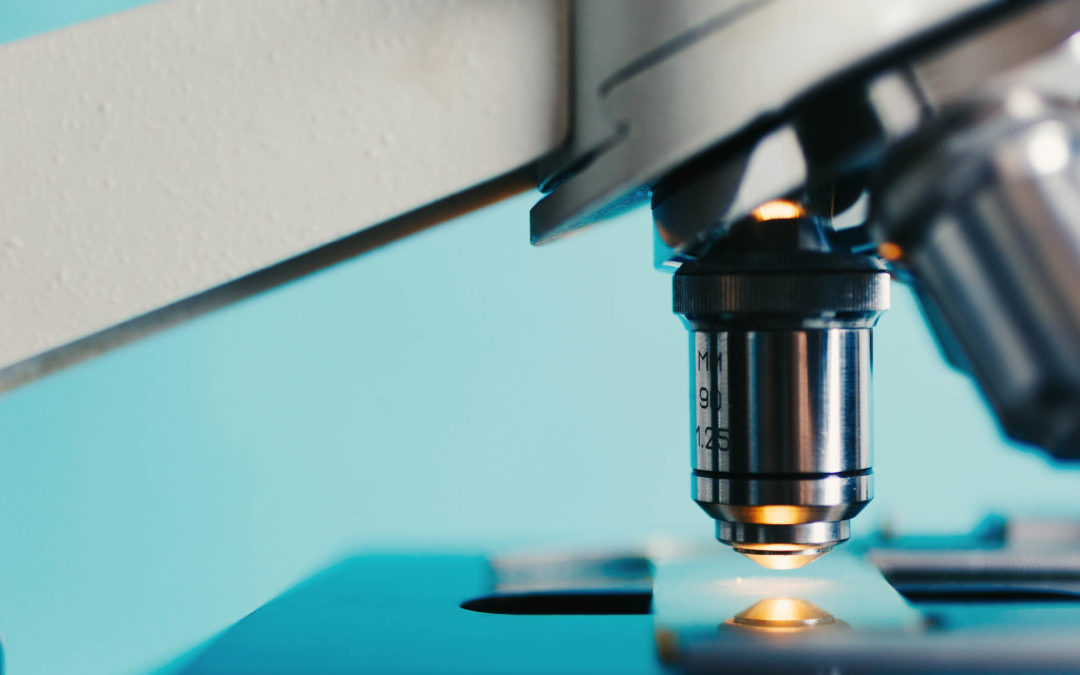 El mito del hombre nacido de un chimpancé